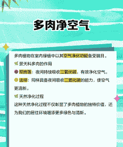 多肉放在卧室有好处吗 多肉放在卧室有好处吗