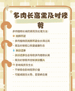 多肉长太高了怎么处理 多肉长太高了怎么处理