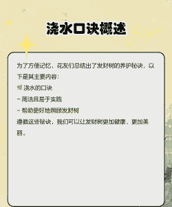 发财树浇水的正确方法 发财树浇水的正确方法