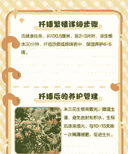 米兰花什么时候扦插最好 米兰花什么时候扦插最好