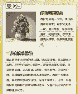 新栽多肉几天浇水 新栽多肉几天浇水