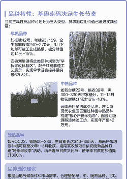 甘蔗怎么种植养护 甘蔗怎么种植养护