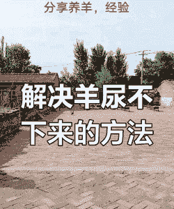 山羊尿不下什么病