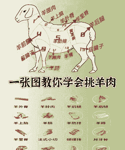 怎样挑山羊肉