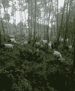 四川养殖山羊基地