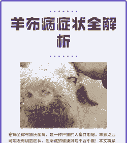 山羊是怎么得布病的