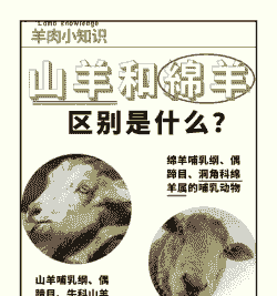 舍饲山羊好还是绵羊好