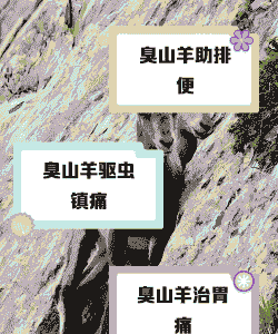 山羊口中恶臭是什么原因