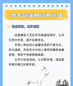 开始养山羊要养多少好