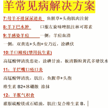 山羊水肿病怎么医治