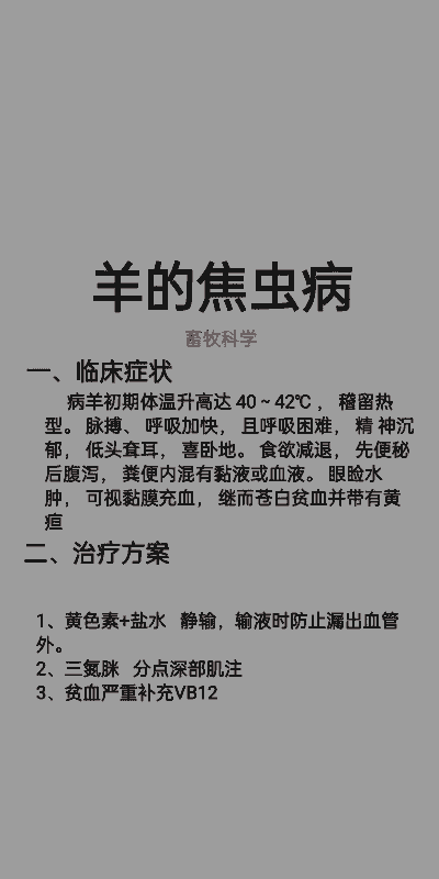 山羊寄生虫病诊治