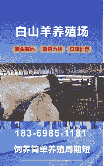 山东济宁奶山羊养殖场