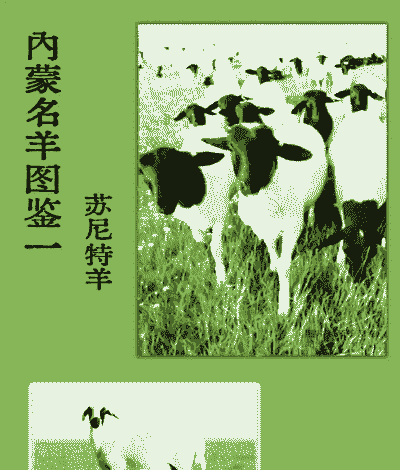 山羊四季放牧技术要点