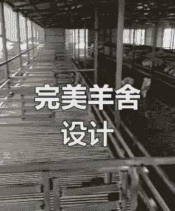 南方山羊 羊床的建造