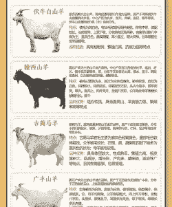 山羊育肥羊的饲养标准