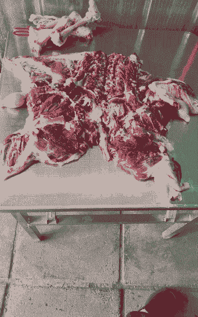 武汉那里有山羊屠宰场