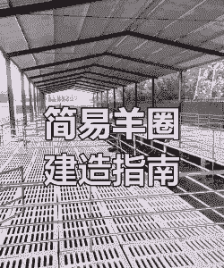 白山羊的羊棚怎么建