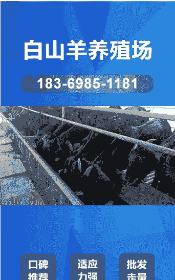 什么地方出售奶山羊河南