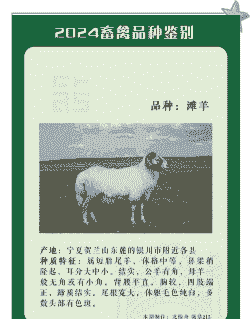 宜昌有没有养种山羊的