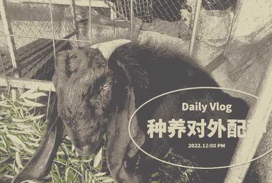 公山羊一般配几年种