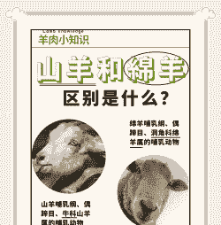 山羊与绵羊肉质区别