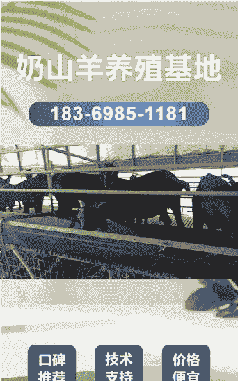 德州哪里有小山羊出售