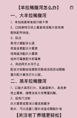 山羊拉肚子怎么办用药