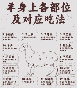 山羊的出肉率怎样算