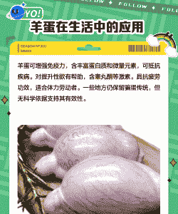 奶山羊睾丸小影响配种吧