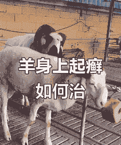 山羊癣病怎么治不好