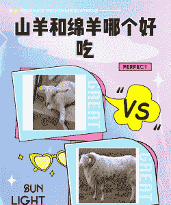 山羊毛和羔羊肉哪个好