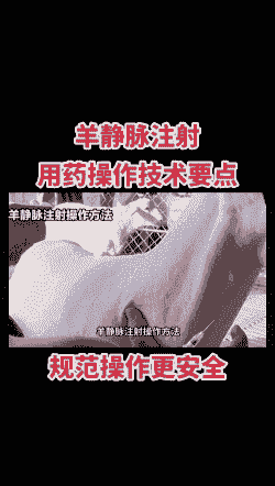 孕山羊可以注射青霉素