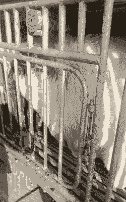 湖北大量波尔山羊收购商