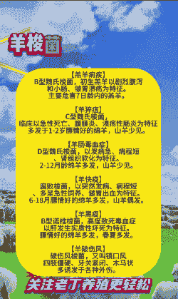 山羊有那些传染性疾病