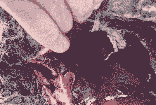 山羊肠胃炎症状