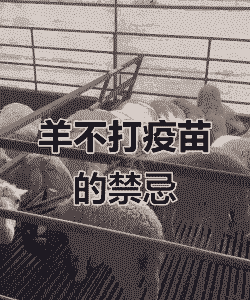 山羊不打疫苗会怎么样