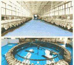 富平刘集奶山羊服务基地