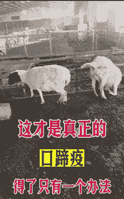 山羊夏天容易得什么病