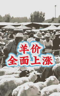 这两天山羊行情不好