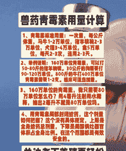 山羊可以口服青霉素吗