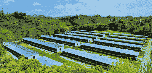 江西山羊养殖基地在哪里