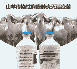 山羊支原体肺炎灭活疫苗