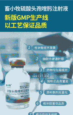 山羊生产后打什么消炎针