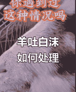 山羊发抖吐白沫是什么病