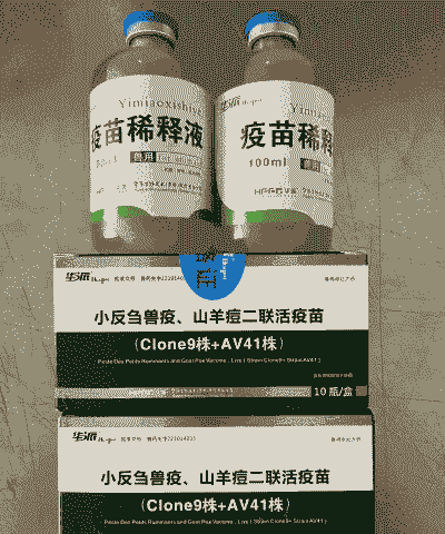 小反兽疫苗 山羊痘疫苗