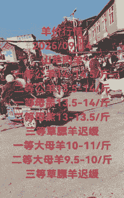 一只山羊有多少公斤