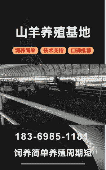 鹤壁有卖波尔山羊的吗