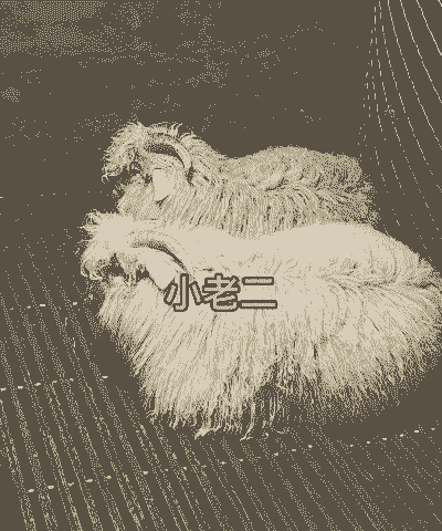 绒山羊瘦母羊怎么冶疗