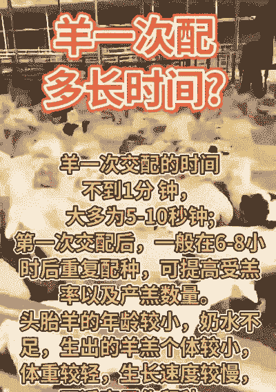 山羊产糕后多久可能配种