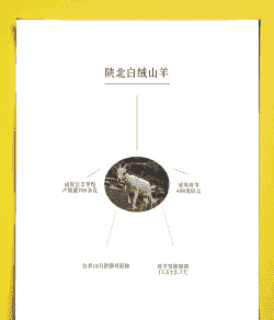 陕北白绒山羊品牌宣传语